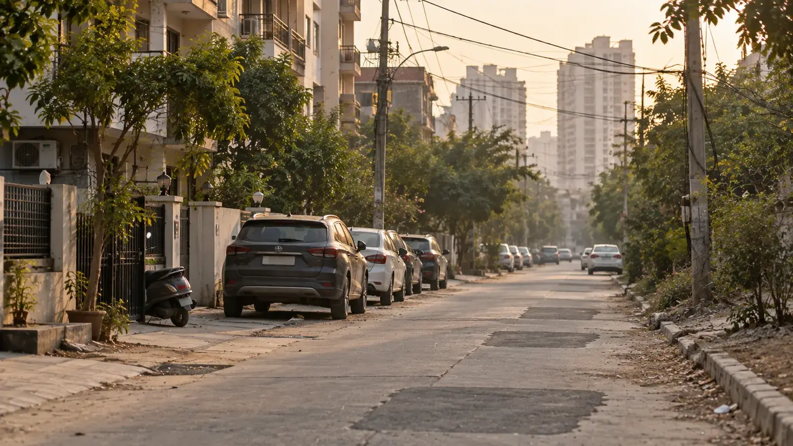 Representative image for ACE Verde